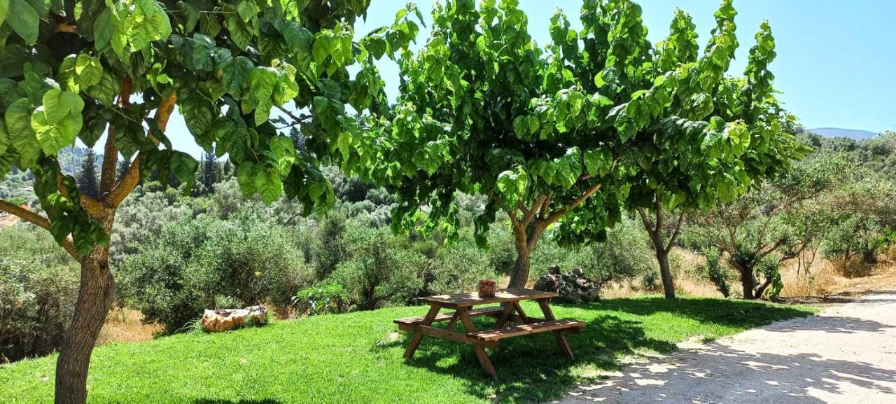 Lily Home_Lefkada ~ Private Country House Kondaraíni 外观 照片