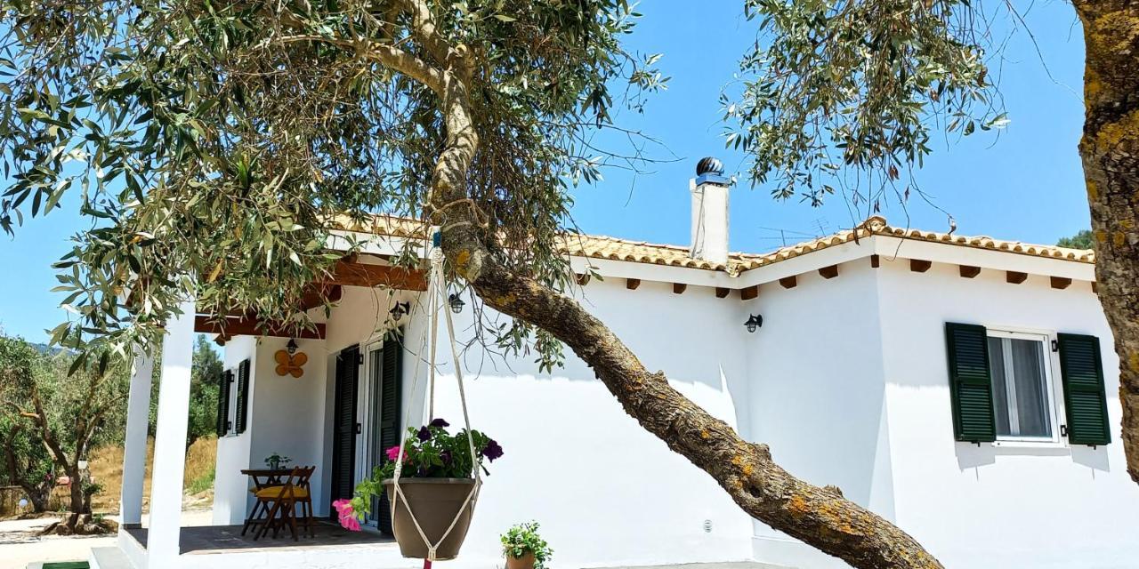 Lily Home_Lefkada ~ Private Country House Kondaraíni 外观 照片