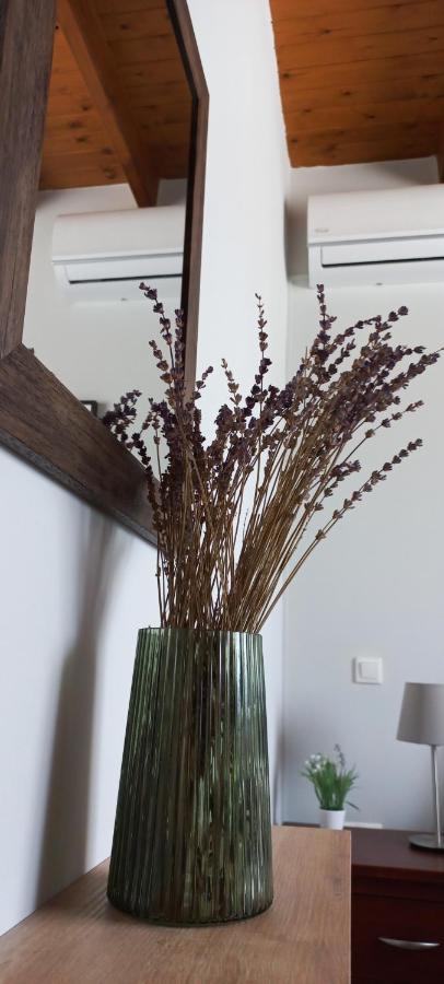 Lily Home_Lefkada ~ Private Country House Kondaraíni 外观 照片