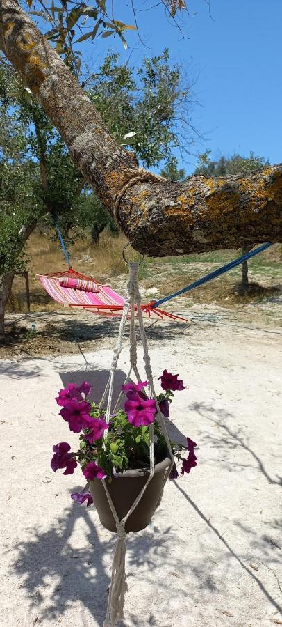 Lily Home_Lefkada ~ Private Country House Kondaraíni 外观 照片