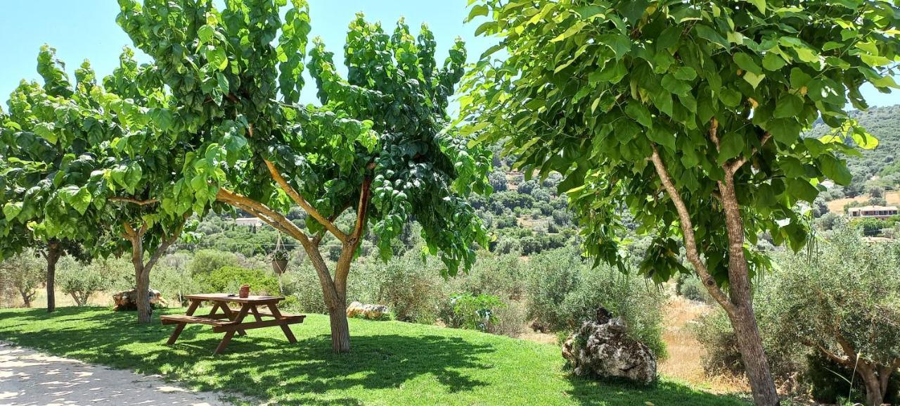 Lily Home_Lefkada ~ Private Country House Kondaraíni 外观 照片