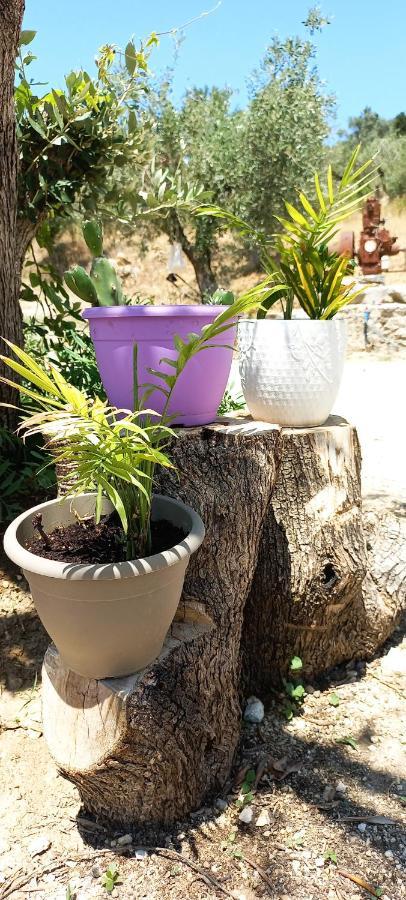 Lily Home_Lefkada ~ Private Country House Kondaraíni 外观 照片