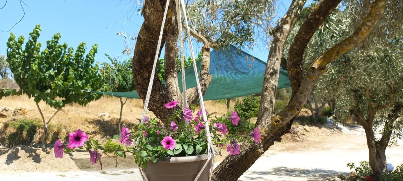 Lily Home_Lefkada ~ Private Country House Kondaraíni 外观 照片