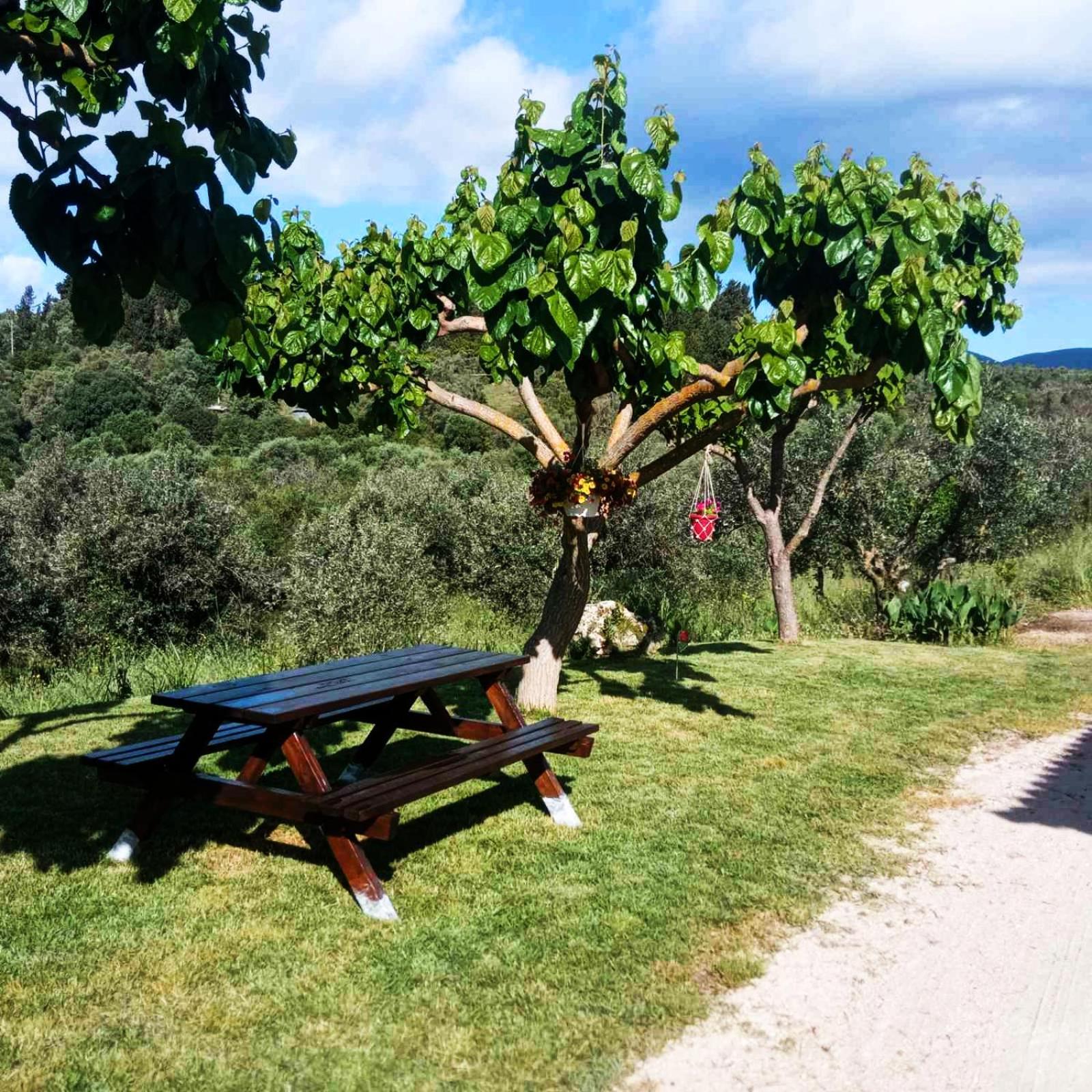 Lily Home_Lefkada ~ Private Country House Kondaraíni 外观 照片