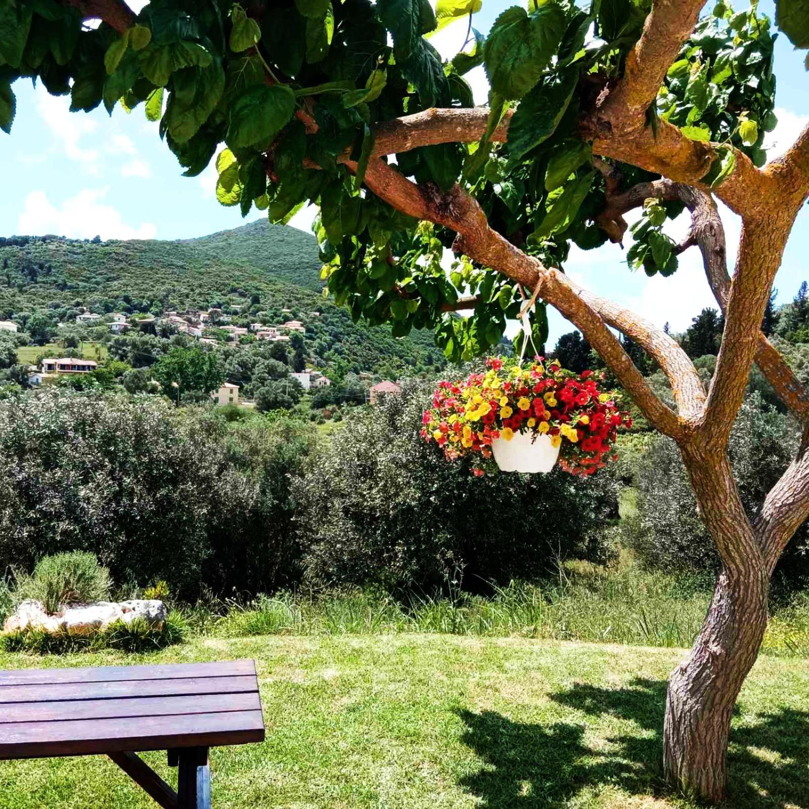 Lily Home_Lefkada ~ Private Country House Kondaraíni 外观 照片